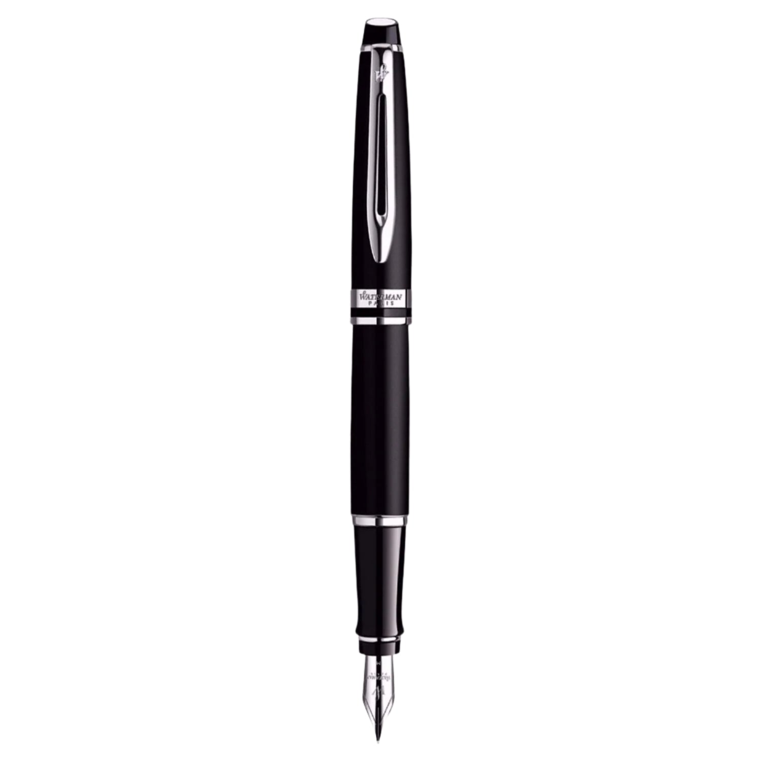Waterman Expert Matte Black CT Fountain Pen