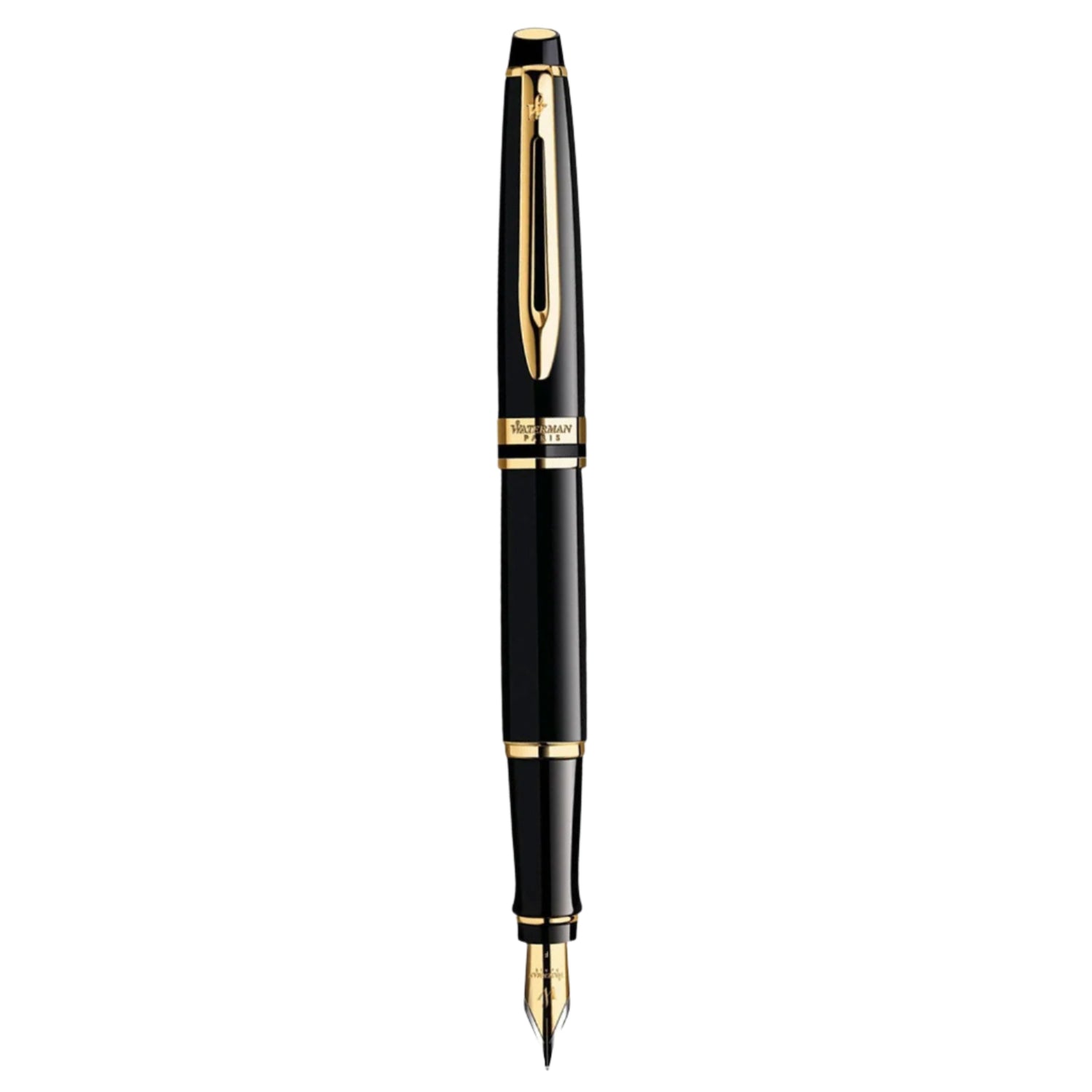 Waterman Expert Mars Black GT Fountain Pen