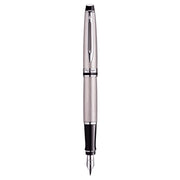Waterman Expert Stainless Steel CT Fountain Pen