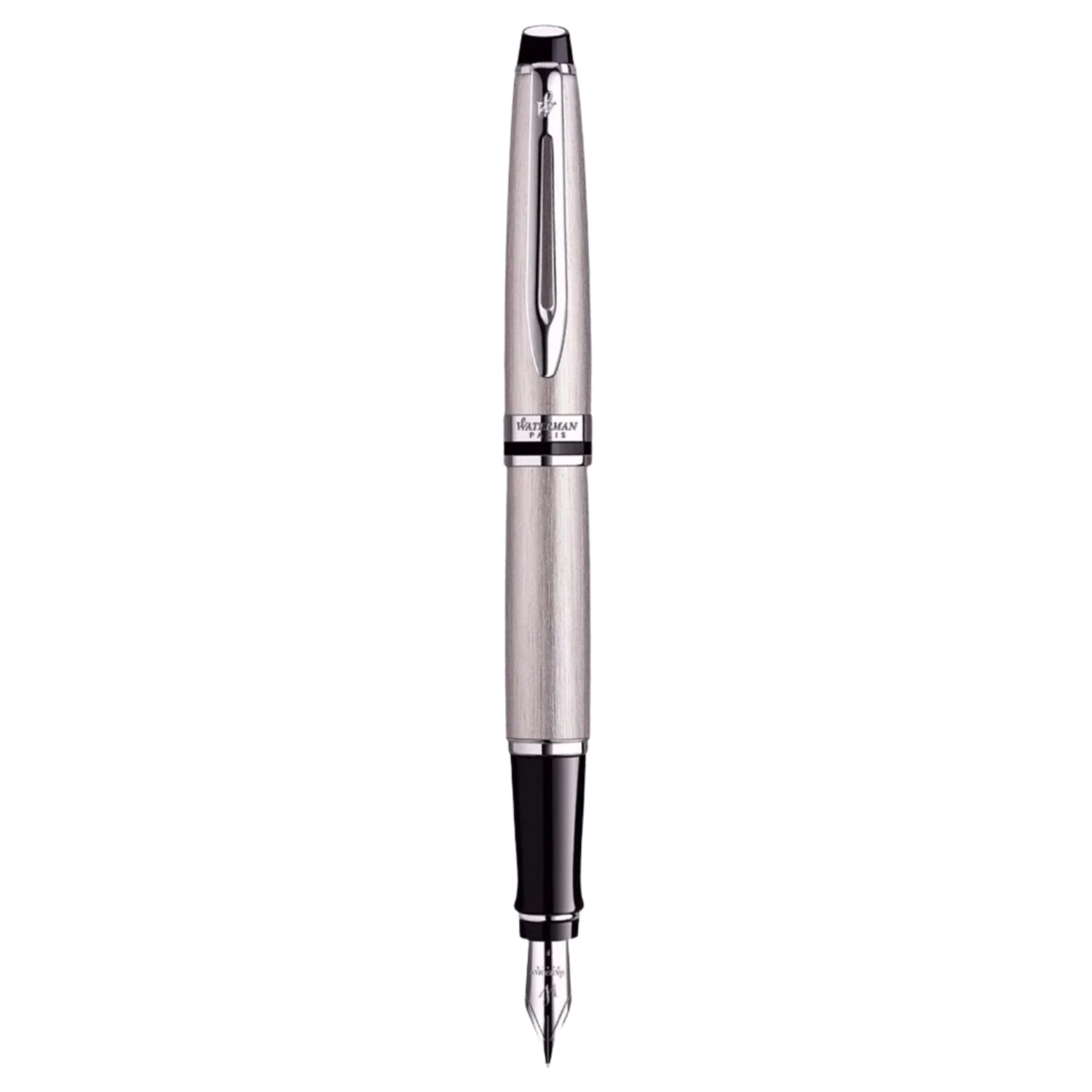 Waterman Expert Stainless Steel CT Fountain Pen