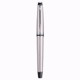 Waterman Expert Stainless Steel CT Fountain Pen