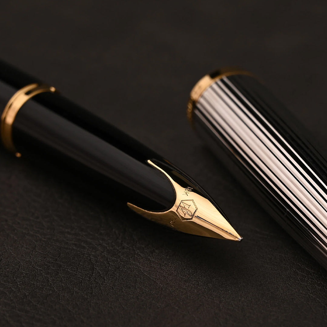 Waterman Carène Fountain Pen