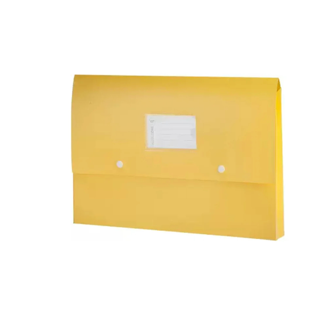Worldone Multicolor Flexi Document Bag Pack of 5