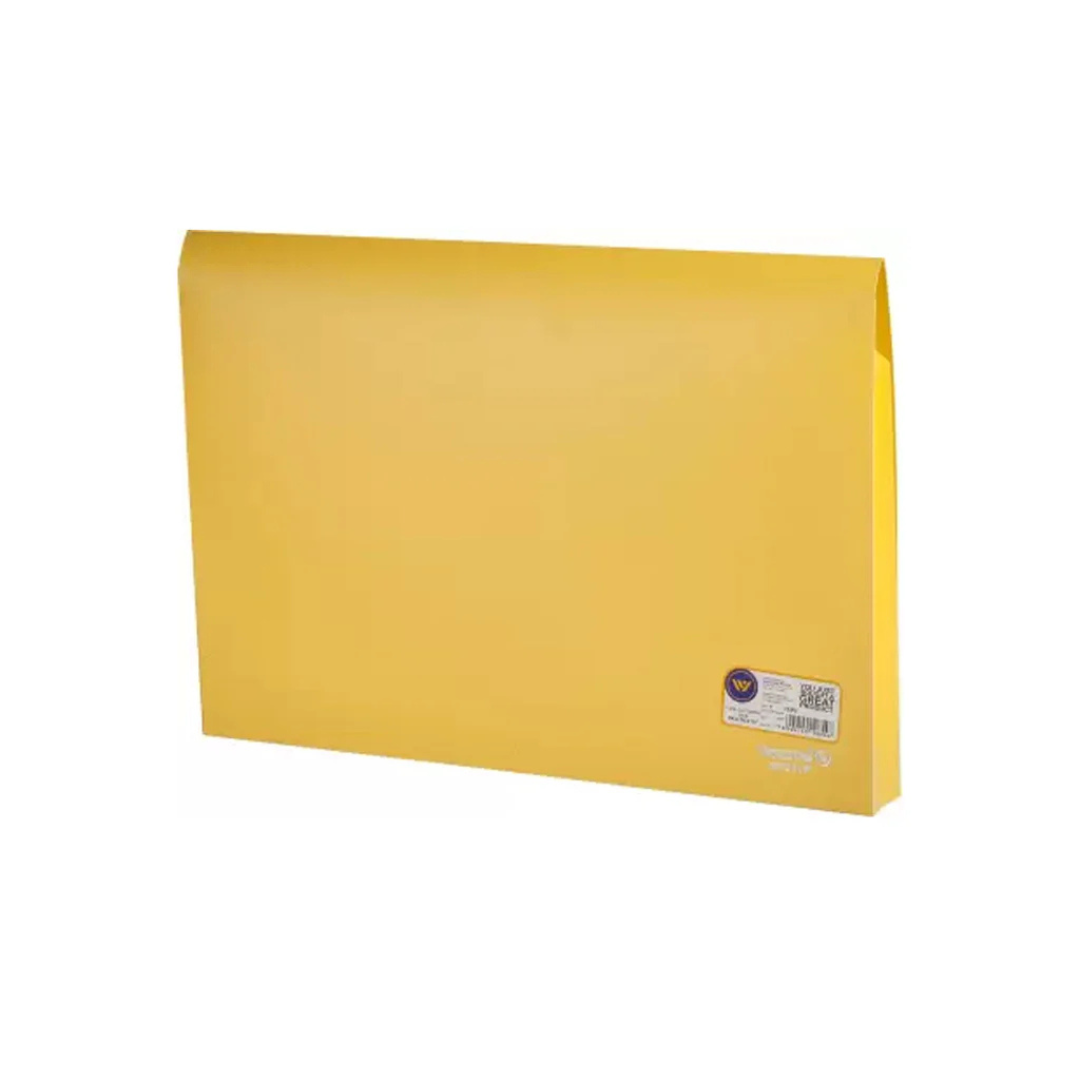 Worldone Multicolor Flexi Document Bag Pack of 5