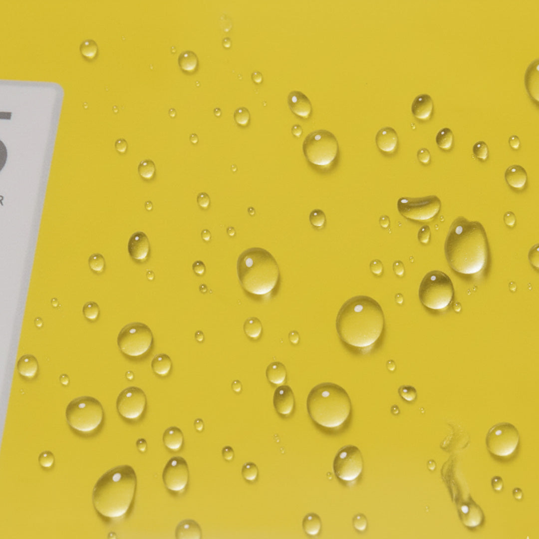 Worldone Plastic 5 Section Multicolor Folder