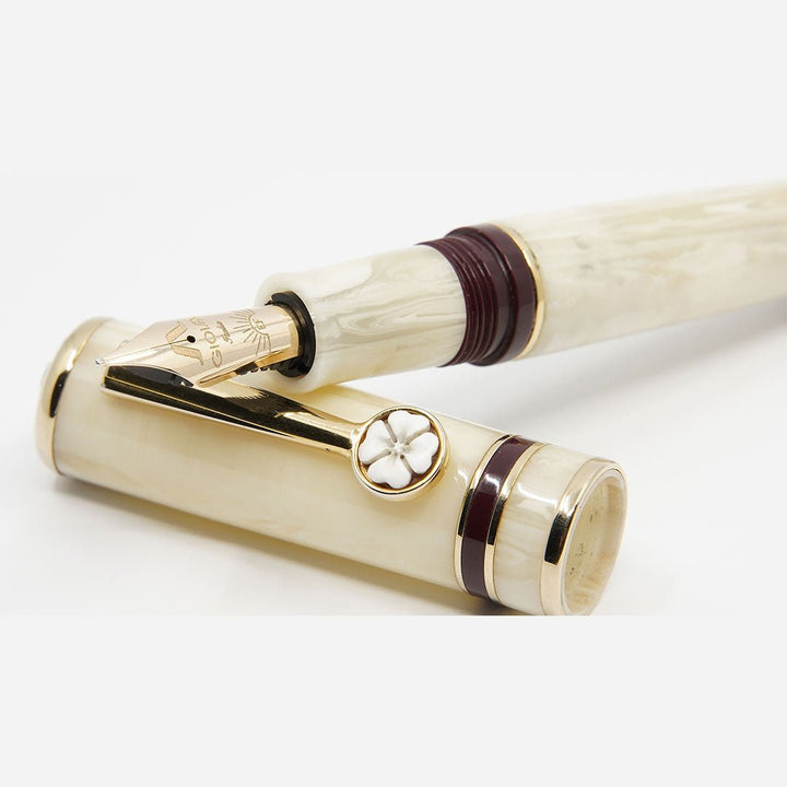 Gioia Cameo Special Edition Fountain Pen - SCOOBOO - GC-049-M - Fountain pen