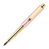 Hero HS209 Fountain Pen - SCOOBOO - HS209 - PP - Fountain Pen