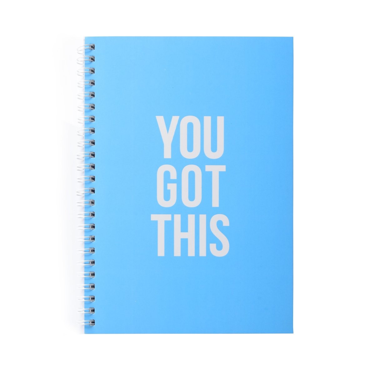 Papboo A5 Easy to Carry Re - writeable/Reusable A5 Notebook With Fine Tip Marker - SCOOBOO - RDyou got this - notebook