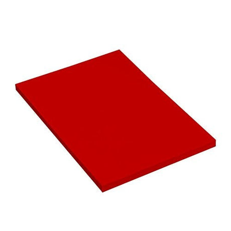 Canson Mi-Teintes A4 Colored Drawing Paper,Honeycombed Grain 160 GSM (Pack of 10 Sheets) - SCOOBOO - 8112 - Loose Sheets