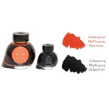 Colorverse Electron Fountain Pen Ink - SCOOBOO - 31-32 - Fountain Pen