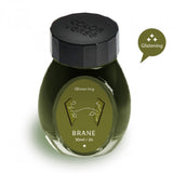 Colorverse Glistening Series Brane 30ml Fountain Pen Ink Bottle - SCOOBOO - NO.26-TGM - Ink