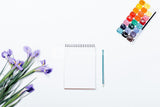 Colour Wheel Notepad - SCOOBOO - Notepads