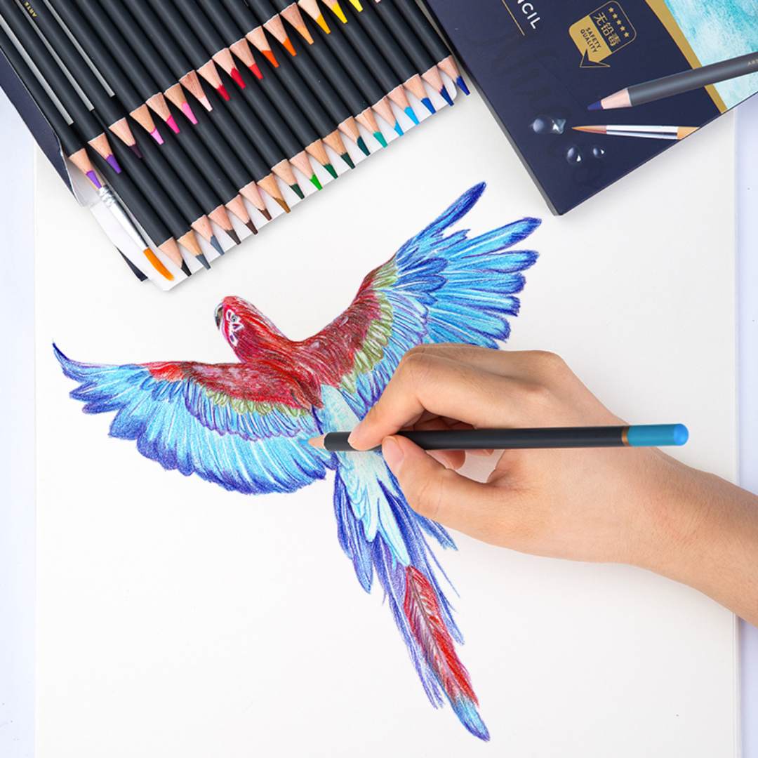 Deli Arte Nuevo Watercolor Pencils - SCOOBOO - 6519 - Watercolour Pencils