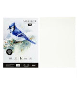 Scholar Watercolour Cold Press Loose Sheets - SCOOBOO - WCL4 - Loose Sheets