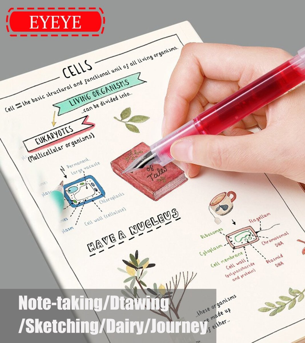 Snowhite FP20 Fountain Pen 0.5 Multicolor Pack of 8 - SCOOBOO - FP20-MULTI - Fountain Pen