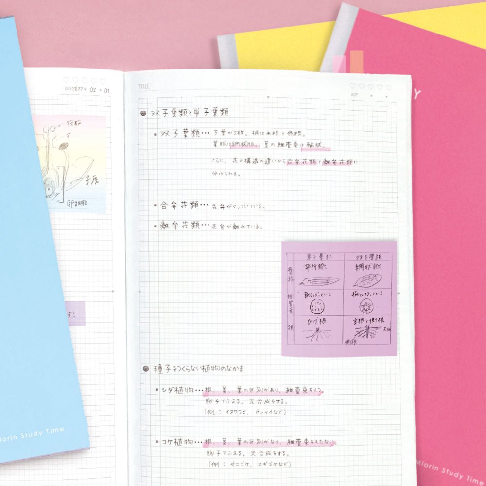 Sun Star Miori B5 Study Notebook - SCOOBOO - S2638592 - Ruled